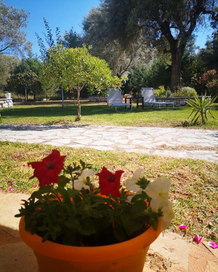Oli Terra Apartment Lefkada City ภายนอก รูปภาพ